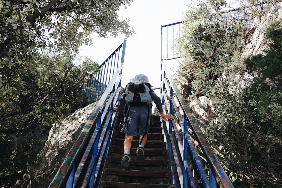 A person with a backpack climbing blue metal stairs surrounded by greenery.
